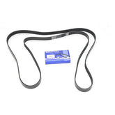 V BELT - BRITPART - PQS500600